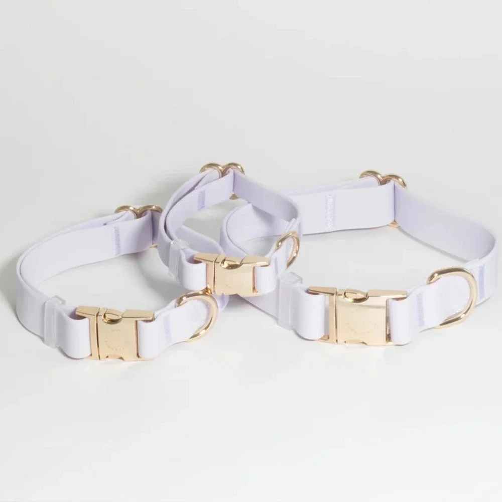 Sunny Tails Lavender Haze Waterproof Dog Collar Gold Hardware Small NEW